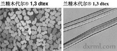 蘭精莫代爾纖維的橫截麵和縱表麵