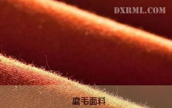 磨毛麵料