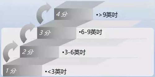 四分製評分 四分製評分