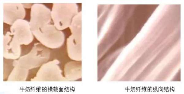 牛奶纖維
